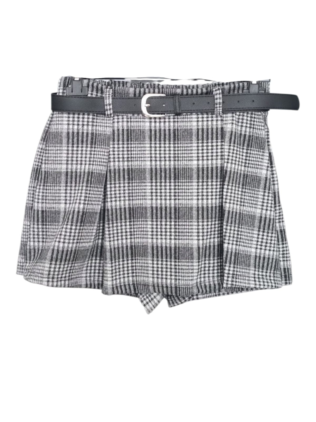 433 Pantagonna quadri