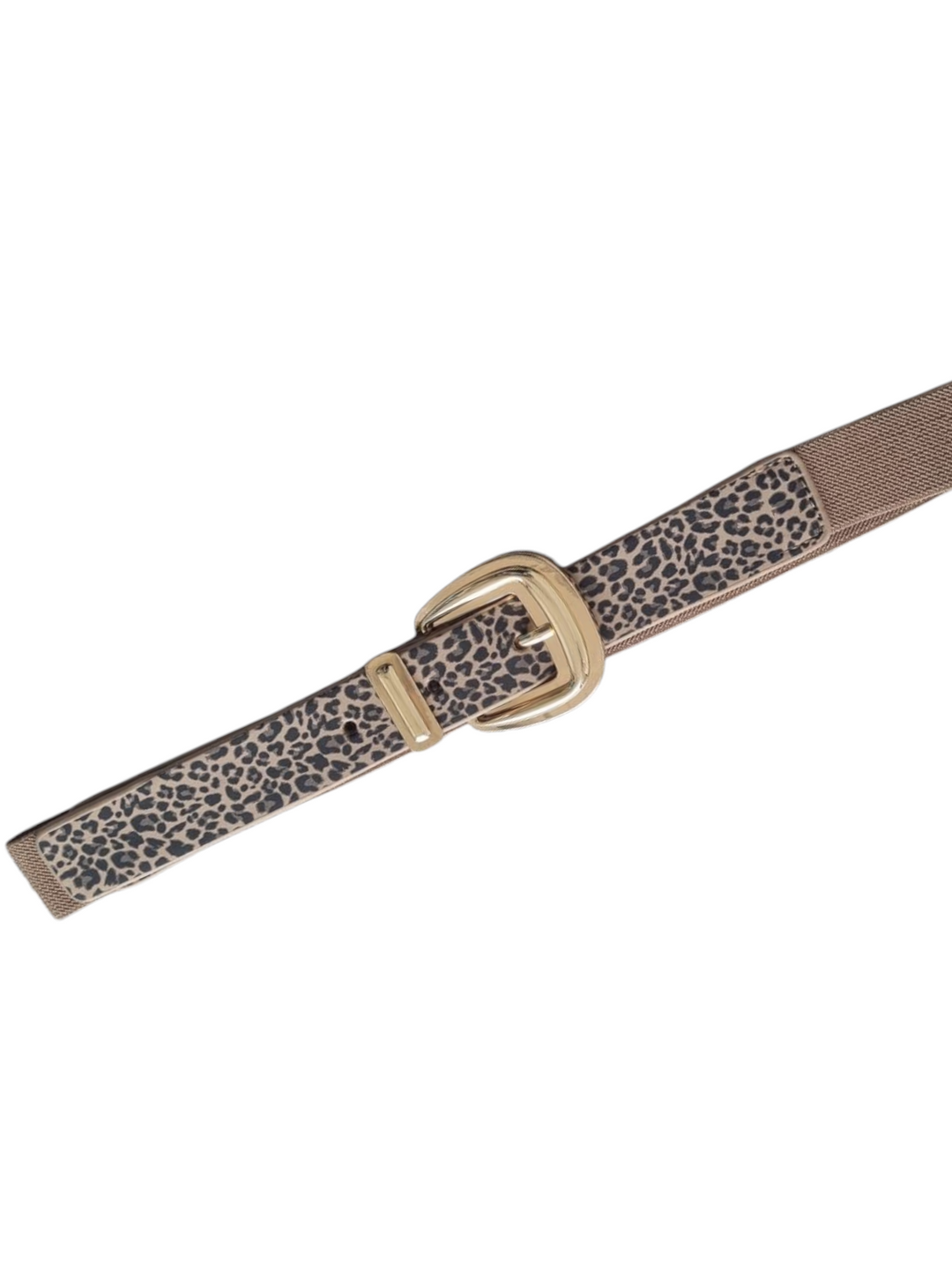 225 Cinta leo elastica